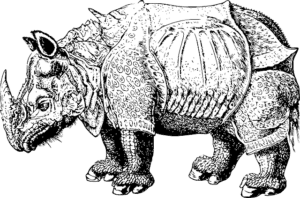 Zeichnung von einem Rhinozeros - schwarze Striche mit transparentem Hintergrund